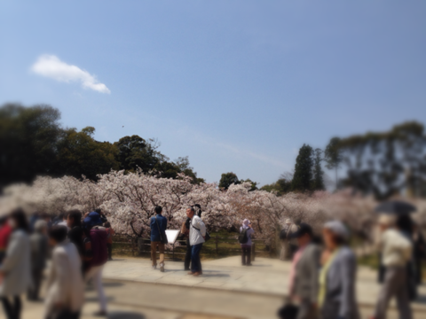image-20140413134350.png