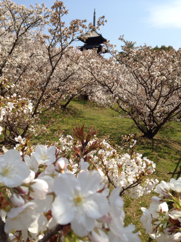 image-20140413134425.png
