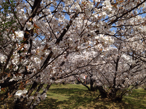 image-20140413141110.png
