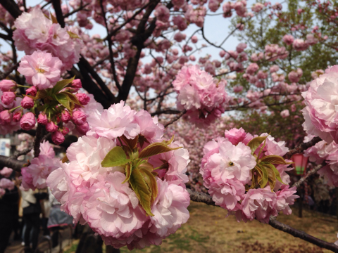 image-20140414124436.png