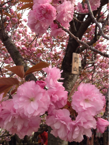 image-20140414183931.png