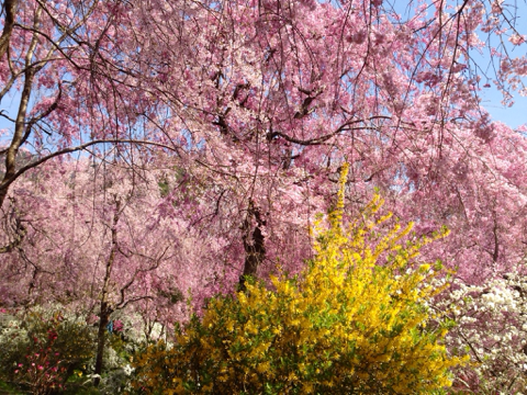 image-20140414195910.png