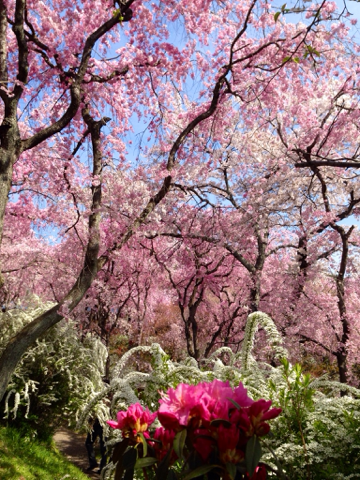 image-20140414195946.png