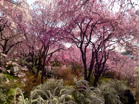 image-20140414200016.png