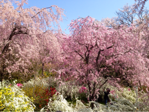 image-20140414200058.png