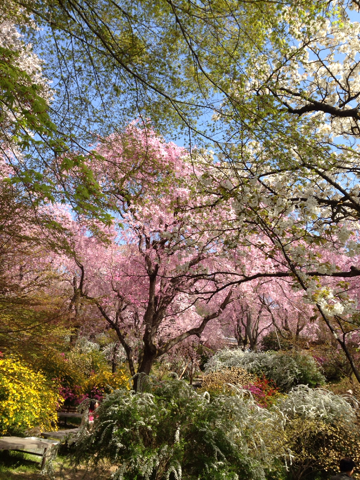 image-20140414200125.png