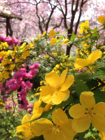 image-20140414200344.png