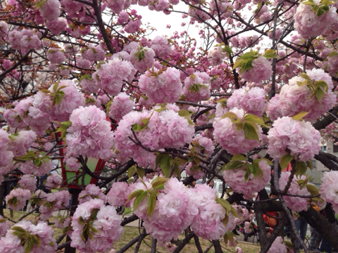 image-20140415210714.png