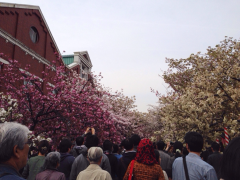 image-20140419105107.png